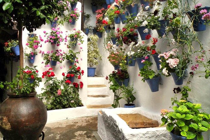 Guided Tour to the Popular Patios of Cordoba - Operated by Arte De Cordoba