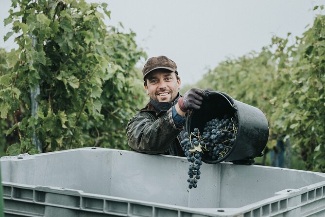 Guided Tour With a Unique Wine Tasting - About Your Stay