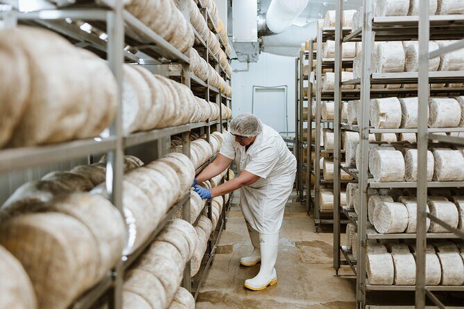 Guided Tour with Cheese & Wine Pairing - Key Points