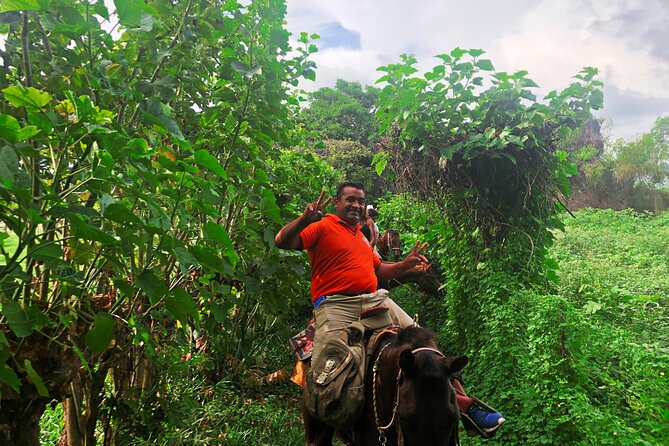 Guided Tour With Horseback Riding and Bioluminescence in Puerto Escondido - Pick-up and Start Time