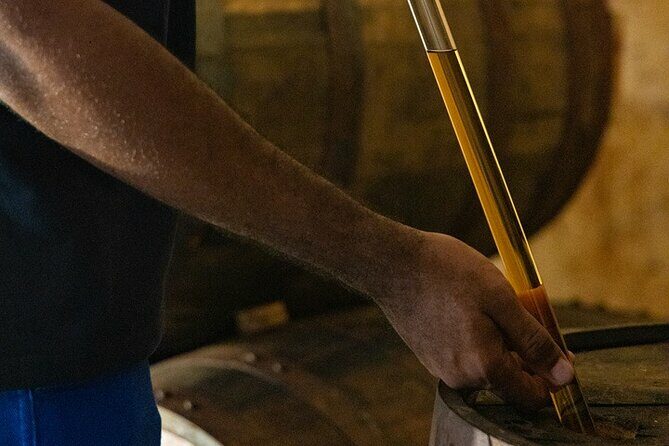 Guided tour with tasting of the Distillery Bonne Mère - A Detailed Look at the Tour Experience