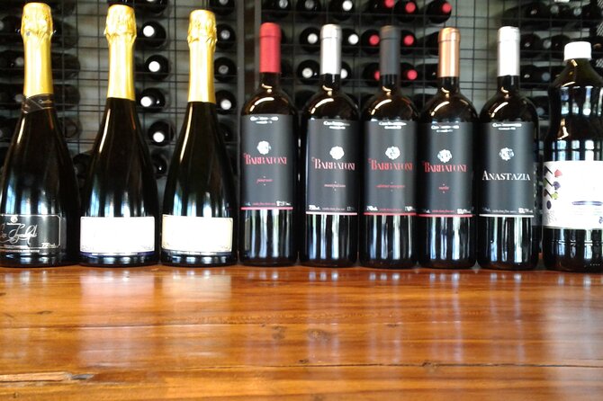Guided Tour With Wine Tasting at Casa Seganfredo - Gramado - Wine Tasting and Production