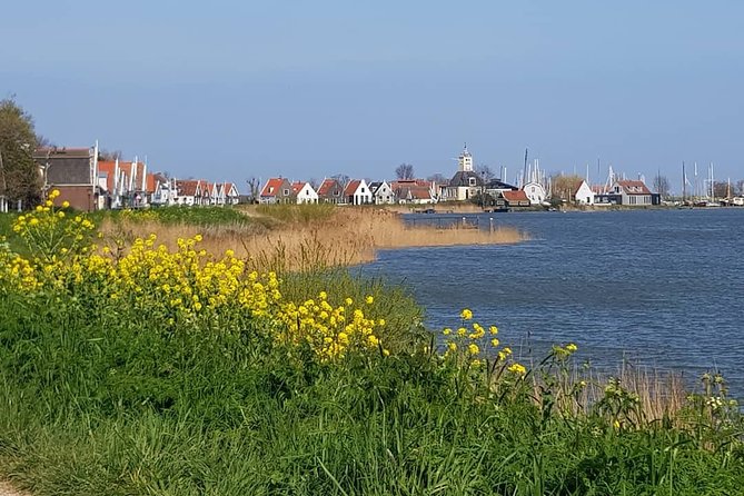 Guided Tours in Amsterdam and the Netherlands. - Positive Customer Feedback