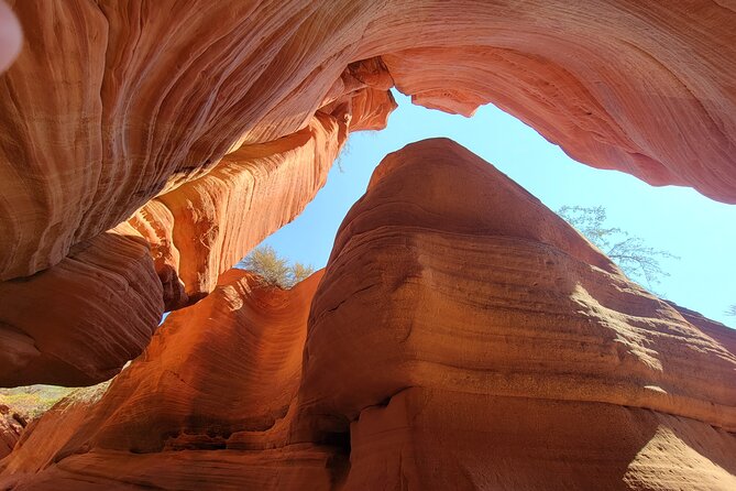 Guided Tours in Southern Utahs Slot Canyons, Indian Ruins, and National Parks. - Highlights of the Experience