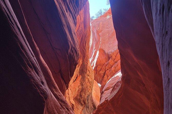 Guided Tours in Southern Utahs Slot Canyons, Indian Ruins, and National Parks. - Tour Accessibility and Restrictions