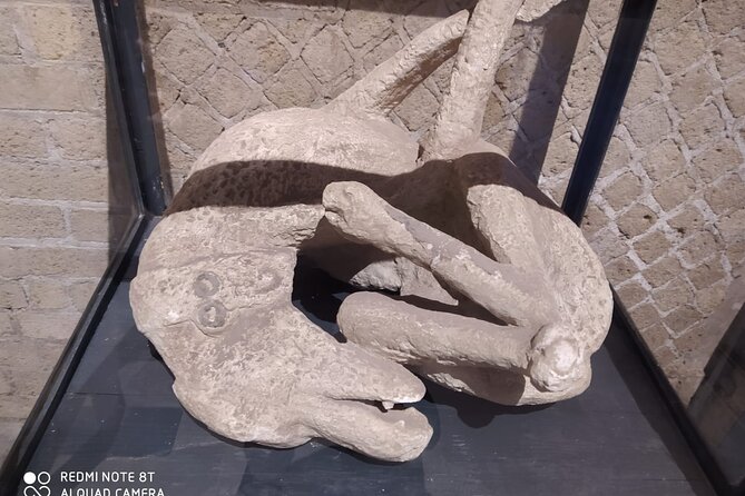 Guided Tours of Pompeii Excavations Historical and Cultural Itineraries - Meeting and Pickup Details