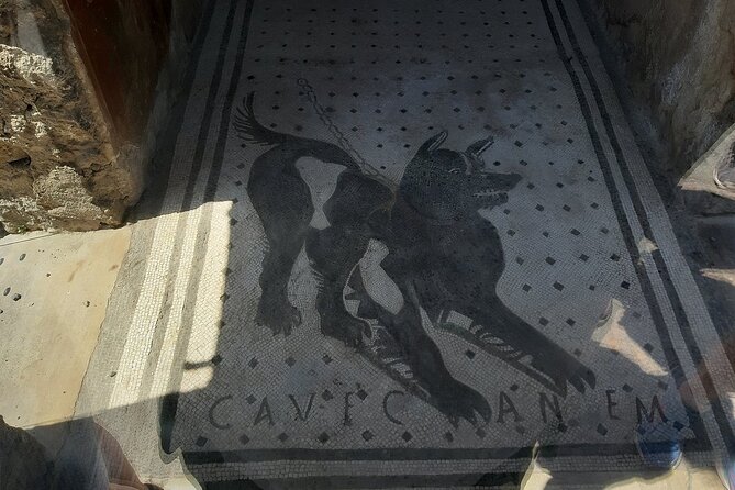 Guided Tours of Pompeii Excavations Historical and Cultural Itineraries - Accessibility and Participation