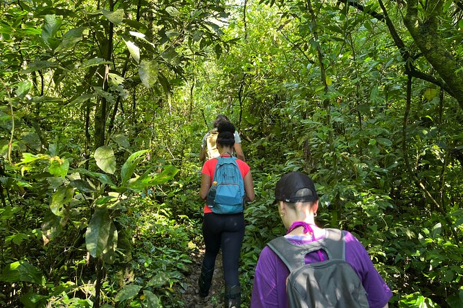 Guided Trail in Malacara Canyon and Bathing in a Natural Pool - Overview of Malacara Canyon Trail