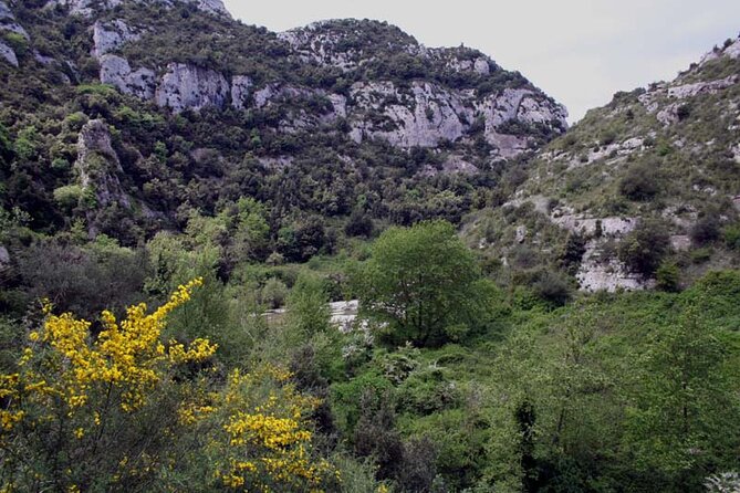 Guided Trekking to Cavagrande Del Cassibile in Sicily - Group Size and Meeting Point