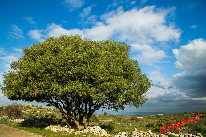 Guided Trekking to Cavagrande Del Cassibile in Sicily - Why Choose This Experience