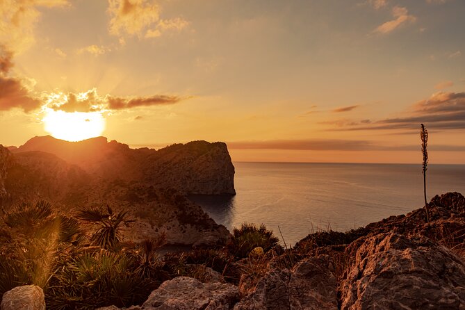 Guided Trike Tour in Mallorca in a Small Group - Additional Details and Reviews