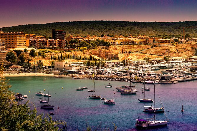 Guided Trike Tour in Mallorca in a Small Group - Admire Scenic Coastal Views