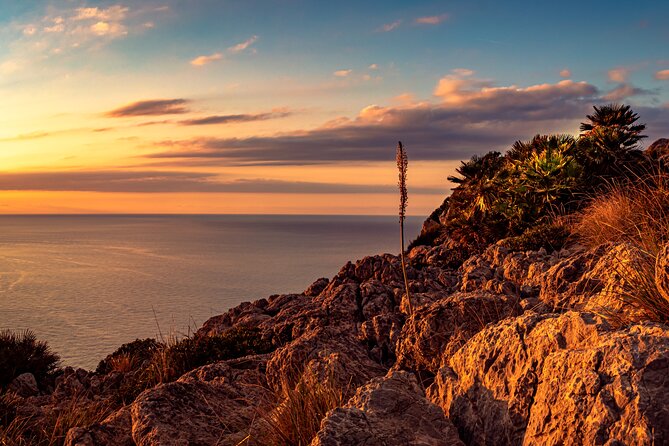 Guided Trike Tour in Mallorca in a Small Group - Luxury Yachts and Potential Sightings