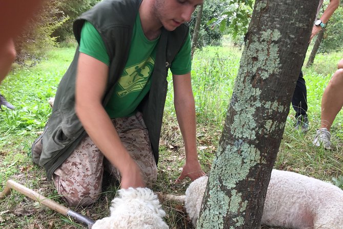 Guided Truffle Hunt Istria - Connecting With Nature and Local Guides