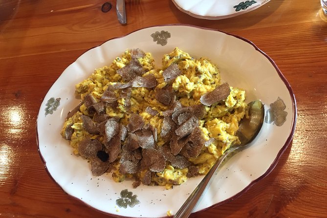 Guided Truffle Hunt Istria - Insider Tips for Truffle Hunting in Istria