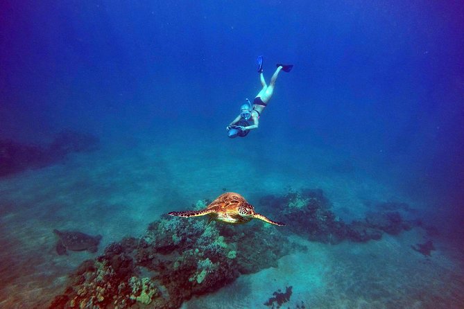 Guided Turtle Town Snorkel Tour With Sea Scooter - Makena - Inclusions and Equipment