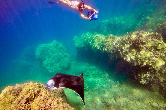 Guided Turtle Town Snorkel Tour With Sea Scooter - Makena - Health and Safety Considerations