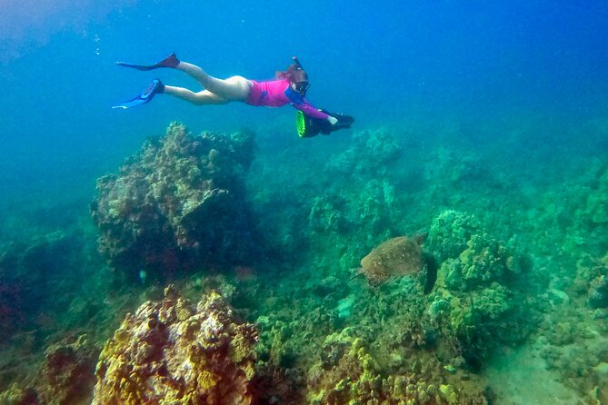 Guided Turtle Town Snorkel Tour With Sea Scooter - Makena - Highlights and Experiences