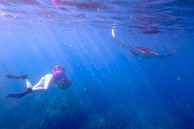 Guided Turtle Town Snorkel Tour With Sea Scooter - Makena - Cancellation Policy