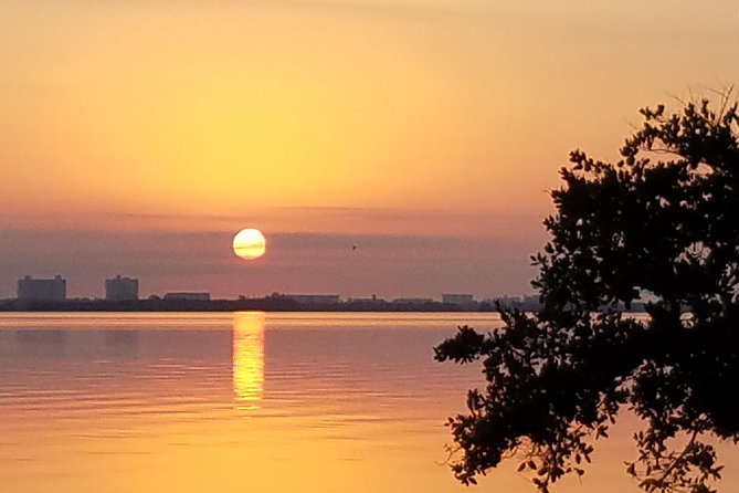 Guided Two Hour Boat Tour of the Indian River Lagoon - Wildlife and Biodiversity