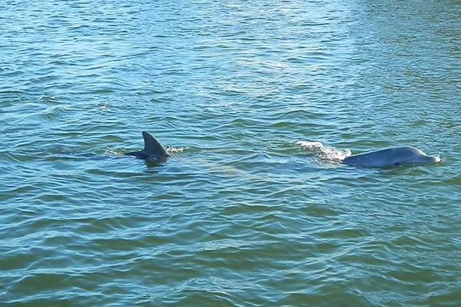Guided Two Hour Boat Tour of the Indian River Lagoon - Guided Experience Highlights