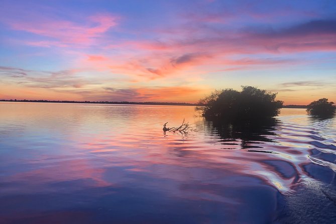 Guided Two Hour Boat Tour of the Indian River Lagoon - Customer Reviews and Feedback