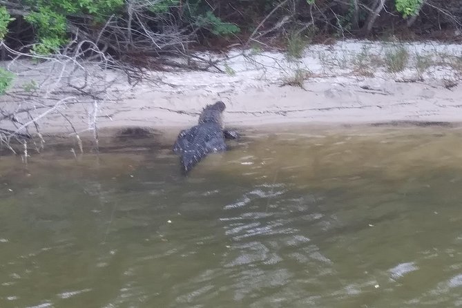 Guided Two Hour Boat Tour of the Indian River Lagoon - Booking and Confirmation