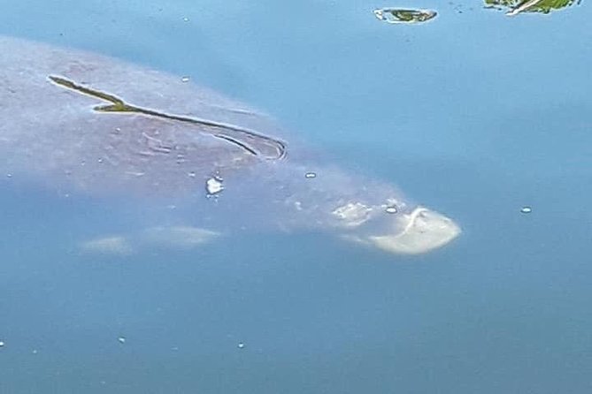 Guided Two Hour Boat Tour of the Indian River Lagoon - Suitability and Audience