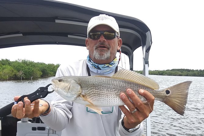 Guided Two Hour Boat Tour of the Indian River Lagoon - Educational Insights and Scenic Views