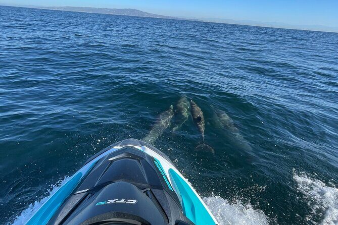 Guided Two hours Jetski Coastal Tour - Key Points