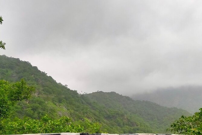 Guided Udaipur Sightseeing Tour - Inclusions and Costs