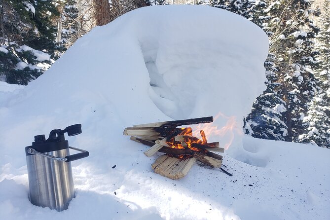Guided Uinta Forest 3-Mile Hike W/Fire + Lunch/Charcuterie Stop - Tailored to Group Abilities
