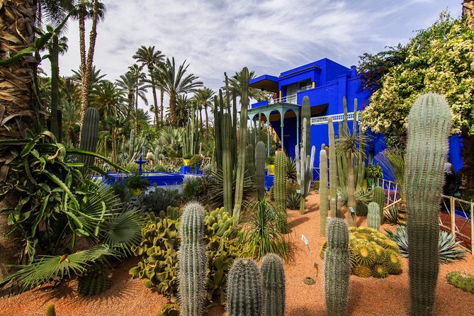 Guided Unveiling the Medinas Wonders of Marrakech - Indulging in Moroccan Culinary Delights