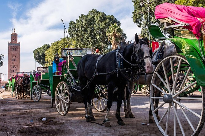 Guided Unveiling the Medinas Wonders of Marrakech - Accessibility and Booking Considerations