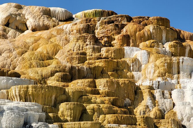 Guided Upper Loop of Yellowstone Tour From Cody, WY - Confirmation and Accessibility
