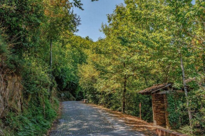 Guided Van Tour in Piôdão and Serra Do Açor, Coimbra - Local Products and Hidden Gems