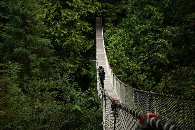 Guided Vancouver Hiking Highlights Day Tour with Gondola Download - A Full Breakdown of the Tour Experience