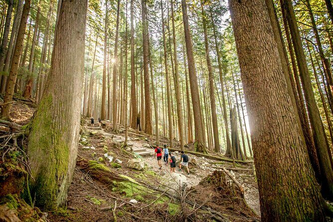Guided Vancouver Hiking Highlights Day Tour with Gondola Download - The Real Traveler Experience