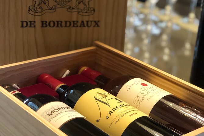 Guided Vineyard Tour With Wine Tasting in Saint-Émilion - Exploring the Vineyards