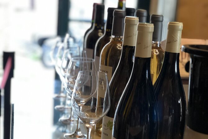 Guided Vineyard Tour With Wine Tasting in Saint-Émilion - Meeting the Winemakers