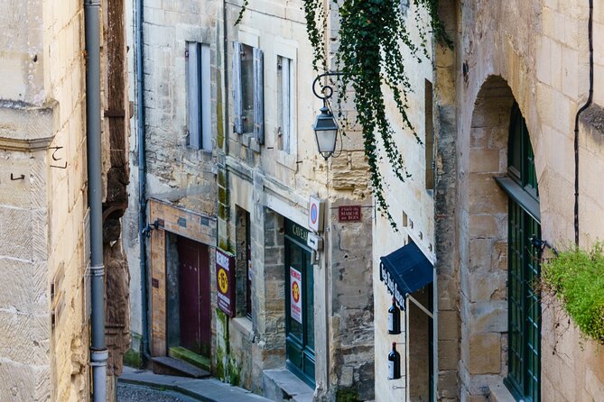 Guided Vineyard Tour With Wine Tasting in Saint-Émilion - Worth The Stay