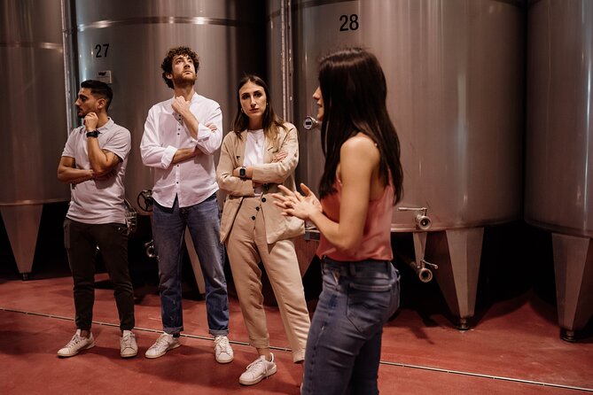 Guided Visit and Wine Tasting at the Winery in Veneto - Discovering the Three Harvest Method