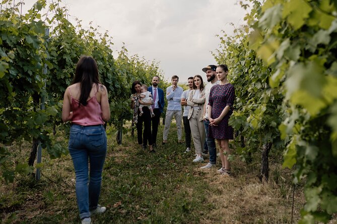 Guided Visit and Wine Tasting at the Winery in Veneto - Inside the Winery
