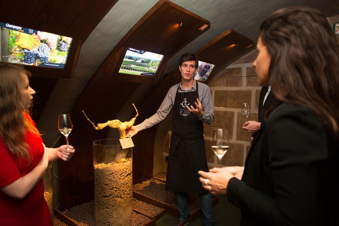 Guided Visit and Wine Tasting in a Royal Wine Cellar in Paris - Group Size and Capacity