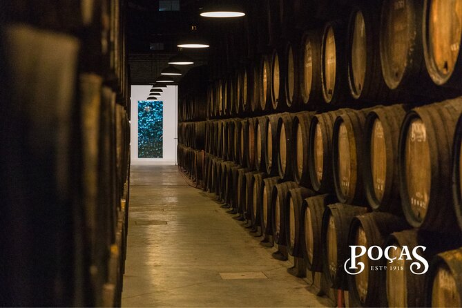 Guided Visit and Wine Tasting of 3 Port Wines - Key Points