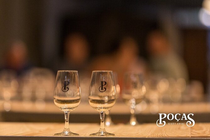 Guided Visit and Wine Tasting of 3 Port Wines - Food Pairings