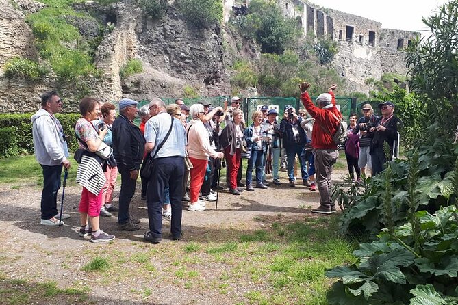 Guided Visit of Pompei and Mount Vesuvius Tour With Pizza Lunch - Booking Information