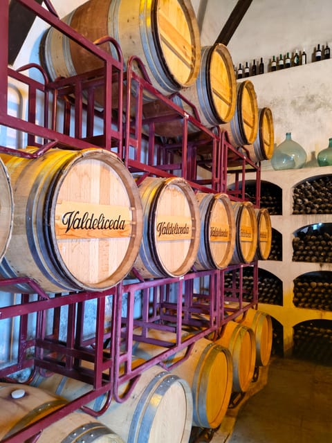 GUIDED VISIT TO BODEGA DEL NERO WINERY - Tour Highlights