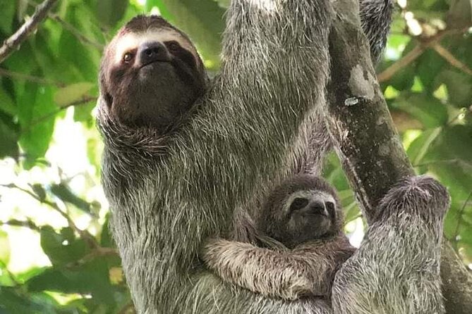 Guided Visit to Manuel Antonio National Park - Key Points