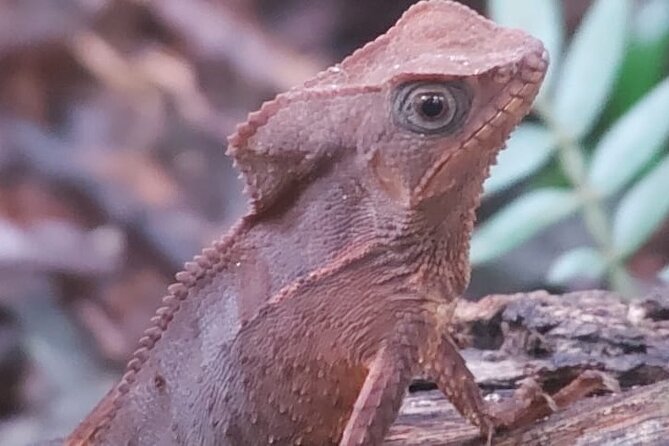 Guided Visit to Manuel Antonio National Park - Tour Details